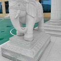 宜昌 白麻花岗岩动物异形石雕-大象